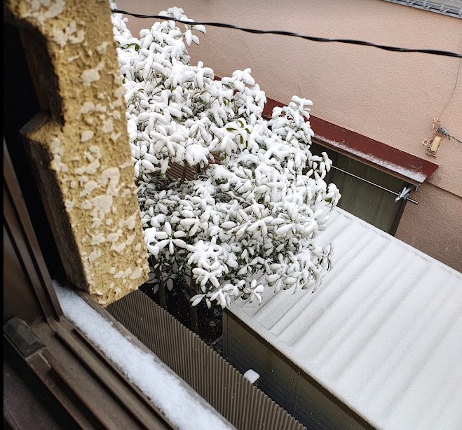 2026/02/08 東京積雪5cm