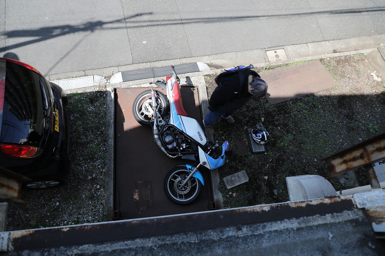 立ちごけの記録